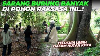 TELUSURI LEBIH DALAM HUTAN KOTA..!! LEBIH BANYAK SUARA KICAUAN BURUNG