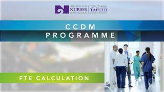 3. CCDM FTE Calculation