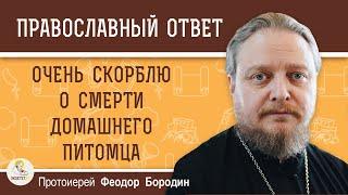 ОЧЕНЬ СКОРБЛЮ О СМЕРТИ ДОМАШНЕГО ПИТОМЦА.  Протоиерей Феодор Бородин