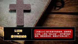 约翰一书02  行在光中   人类世界的“光明党”