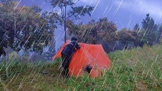 BEST HEAVY RAIN CAMPING - SOLO CAMPING IN HEAVY RAIN LONG THUNDERSTORM - RELAXING CAMP - ASMR