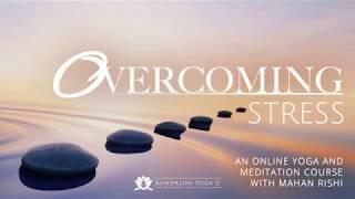 Overcoming Stress - an online workshop with Mahan Rishi