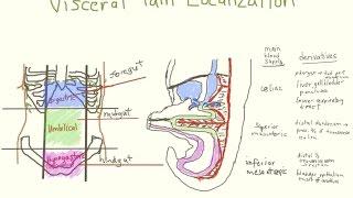 Pediatric Acute Abdominal Pain, Part 1 of 2