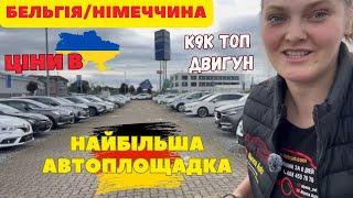 ️ Найбільший Авторинок Німеччини. Автоподбор Бельгія. Топовий Двигун К9К. Renault Megane