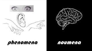 What are noumena?