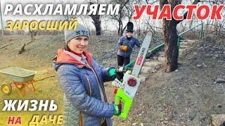 РАСХЛАМЛЕНИЕ ЗАРОСШЕЙ ДАЧИ / ПОСЕВ СЕМЯН / ОГОРОД / УБОРКА / ЖИЗНЬ НА ДАЧЕ