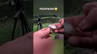 Крутая поклевка - смешной результат! #рыбалка #удочка #поклевка #плотва #fishing