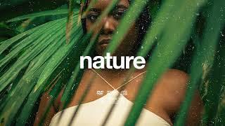 (FREE) | "Nature" | Swae Lee x Burna Boy x Rema Beat | Free Beat | Dancehall Instrumental 2024