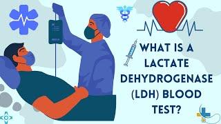 What is a Lactate Dehydrogenase (LDH) Blood Test?