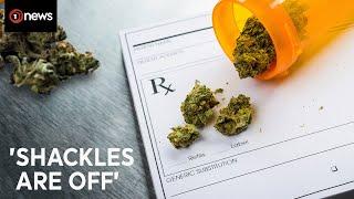 'Huge sense of relief' over Kiwi medical cannabis regulation changes | 1News on TVNZ+