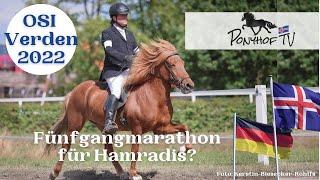 Fünfgang Marathon für Hamradis? - OSI Verden 2022 - Islandpferdeturnier