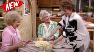 The Golden Girls 2023️  Job Hunting ️Compilation of the Best Episode