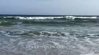 Gulf Coast Living  | #SearchTheGulf #MeredithAmon #Gulf #STG