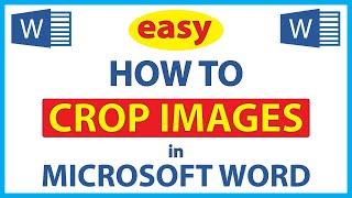 How To Crop An Image In Microsoft Word | 365 |