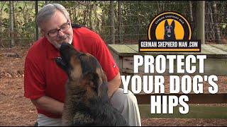 Protecting your German Shepherd hips...VERY IMPORTANT!!! Big Don and GSM