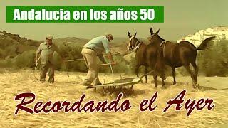 Recordando el Ayer - Un documental recrea los trabajos y costumbres de la Andalucía de los 50