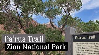 The Scenic, Easy Pa'rus Trail in Zion National Park