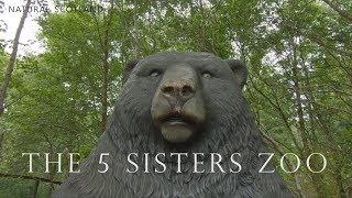 5 Sisters Zoo