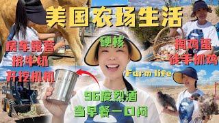 美国硬核农场生活！96度烈酒当早餐+徒手抓鸡挤牛奶...在华人农场房车露营 狂野实录！