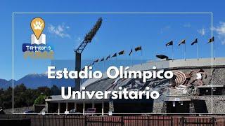 Territorio Puma | Estadio Olímpico Universitario