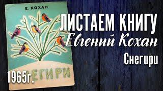 Детская книга - Евгений Кохан "Снегири" 1965 г.