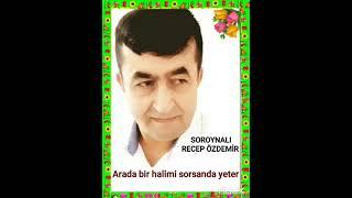 Arada bir halimi sorsanda yeter