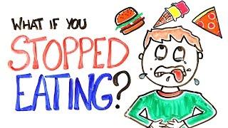What If You Stopped Eating?