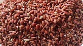 Organic Raw Red Rice