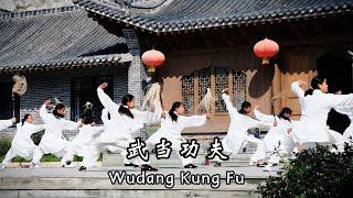 磨练磨炼，天天磨，天天练 #martialarts #kungfu #wushu #wudang