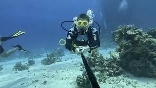 Diving in Egypt - Dolphin House (Sea cave, Murena, Boat) [2024.06.23]