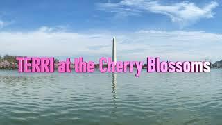 Terri at the Cherry Blossoms - 2023 - Washington D.C. - Cherry Blossom Festival -