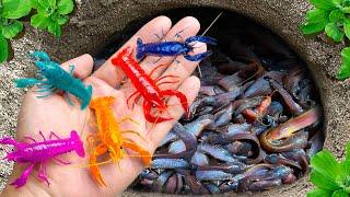 Amazing Catch Ornamental Colorful Strange Shrimp, Goldfish, Red Full Moon Betta Fish, Flying Fish