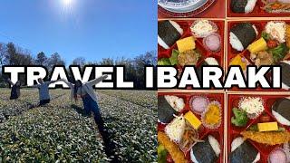 TRAVEL IBARAKI KOGA Farm to picnic tour