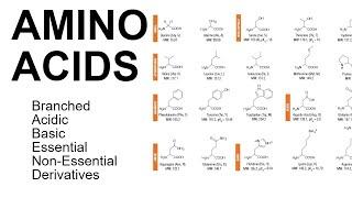 Amino Acids