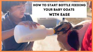 How To Bottle Feed Your Baby Goats With Ease | Tips & Tricks On How To Switch From Mama To Bottle