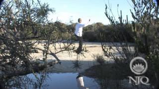 Nei Jia Quan - Internal Martial Arts - Tai Chi Chuan