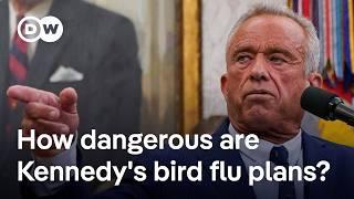Why scientists warn against the US plans to let the bird flu virus spread unchecked | DW News