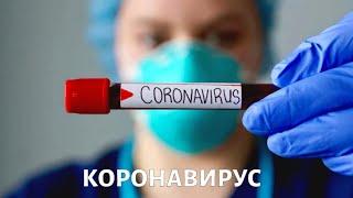 Вопрос науки. КОРОНАВИРУС COVID-19: отличие от других вирусов, борьба с эпидемией, прогнозы
