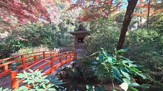 4K・ Tokyo Todoroki walk - quiet district with natural park・4K HDR