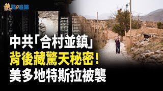 沒錢強搶？6省農民土地懸了，美多地特斯拉成攻擊目標【熱點追蹤 】