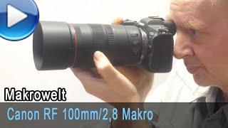 Canon RF 100mm/2,8 Makro IS USM im Test, neue SA-Funktion/Fokusstacking.