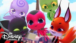 Miraculous Ladybug | Meet the Kwamis! | Disney Channel UK