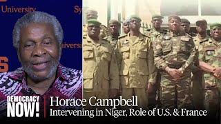 Horace Campbell on Opposing Military Intervention in Niger & Disastrous U.S./French Role in Africa