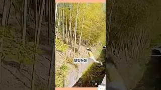 뚝배기 영상 모음1