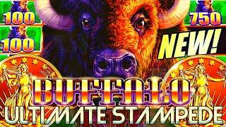 NEW SLOT! BUFFALO ULTIMATE STAMPEDE  GET THAT BONUS!! Slot Machine (ARISTOCRAT GAMING)