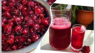 Sorrel Drink (Caribbean Christmas Drink)