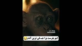 #طنز #طنزکده #خنده #خنده_دار #جوک #فان #طنزمستر #بیمزه #فانکده # funnyvideos #funny # fun