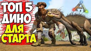 ТОП 5 ДИНО ДЛЯ НОВИЧКОВ в ARK Survival Evolved! ЛУЧШАЯ ЖИВКА ДЛЯ СТАРТА В АРК!