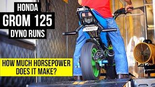 Honda Grom 125 Dyno Runs: M4 Exhaust, ECU, Intake, Cam + More! | How much Horsepower does it make?