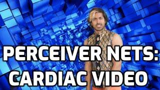 Perceiver for Cardiac Video Data Classification (AlphaCare: Episode 2)